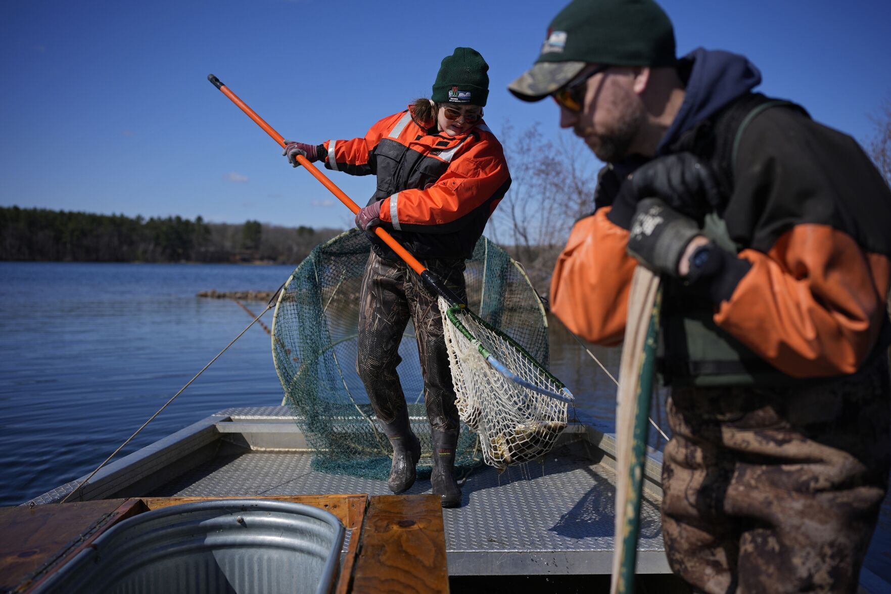 Climate Spearfishing